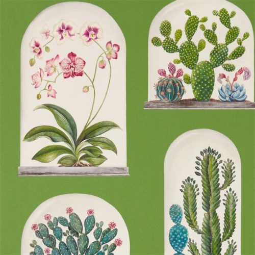 Terrariums 216656